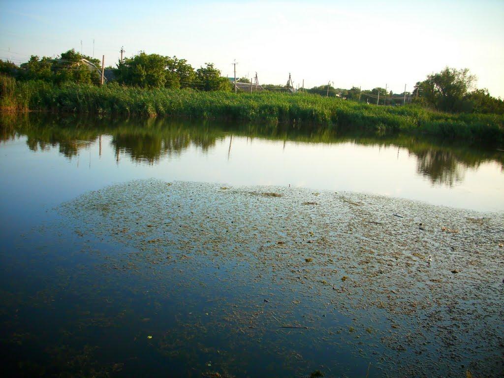 Роздільна з panoramio.com - Раздельная