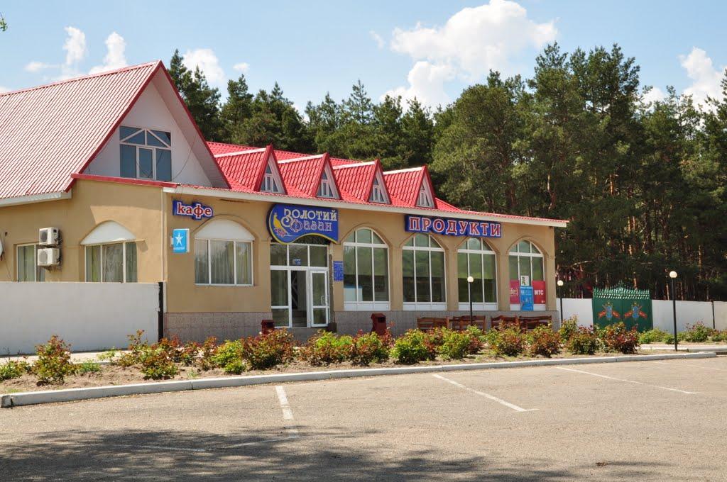 Раденськ з panoramio.com - Раденськ