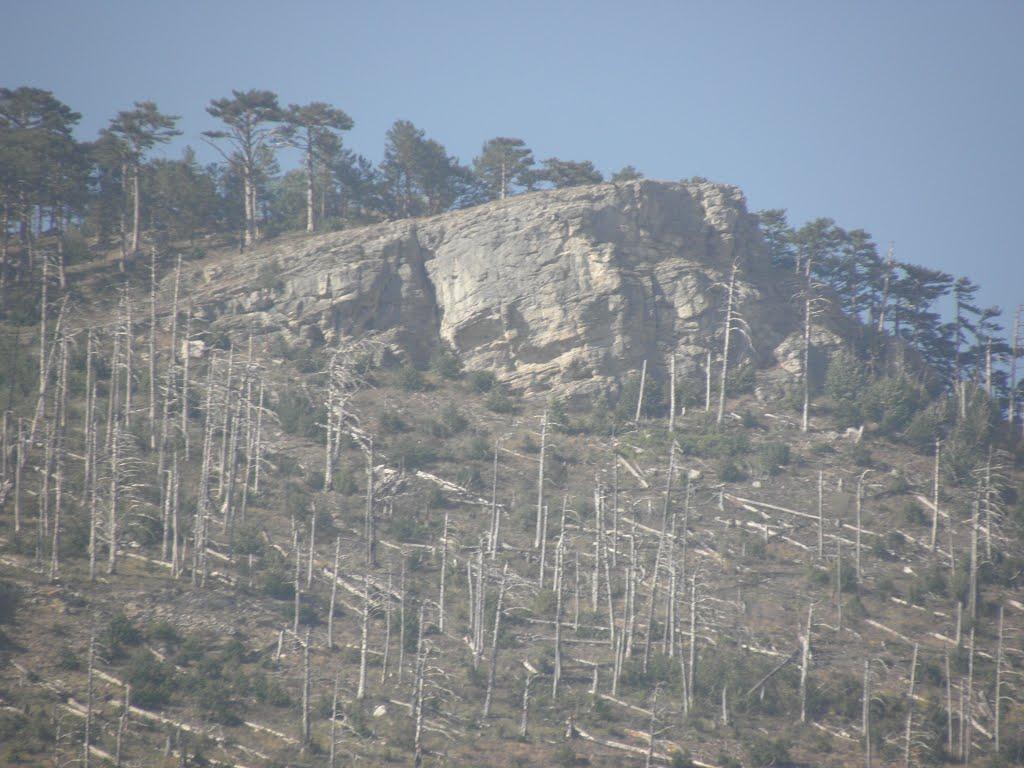 Виноградне з panoramio.com - Виноградное