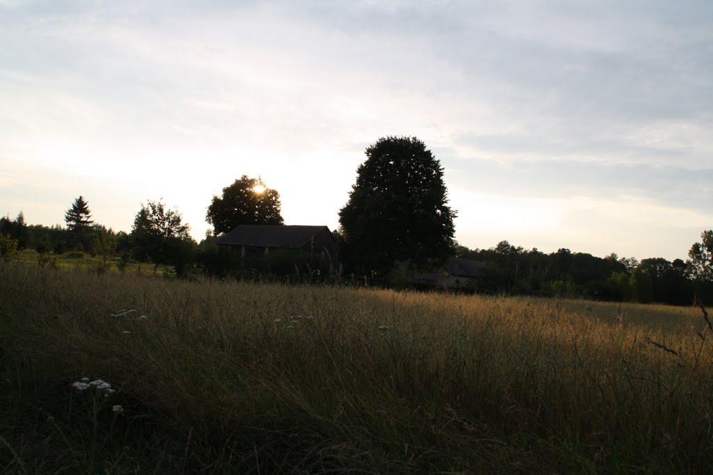 Вишнівка з panoramio.com - Вишнівка