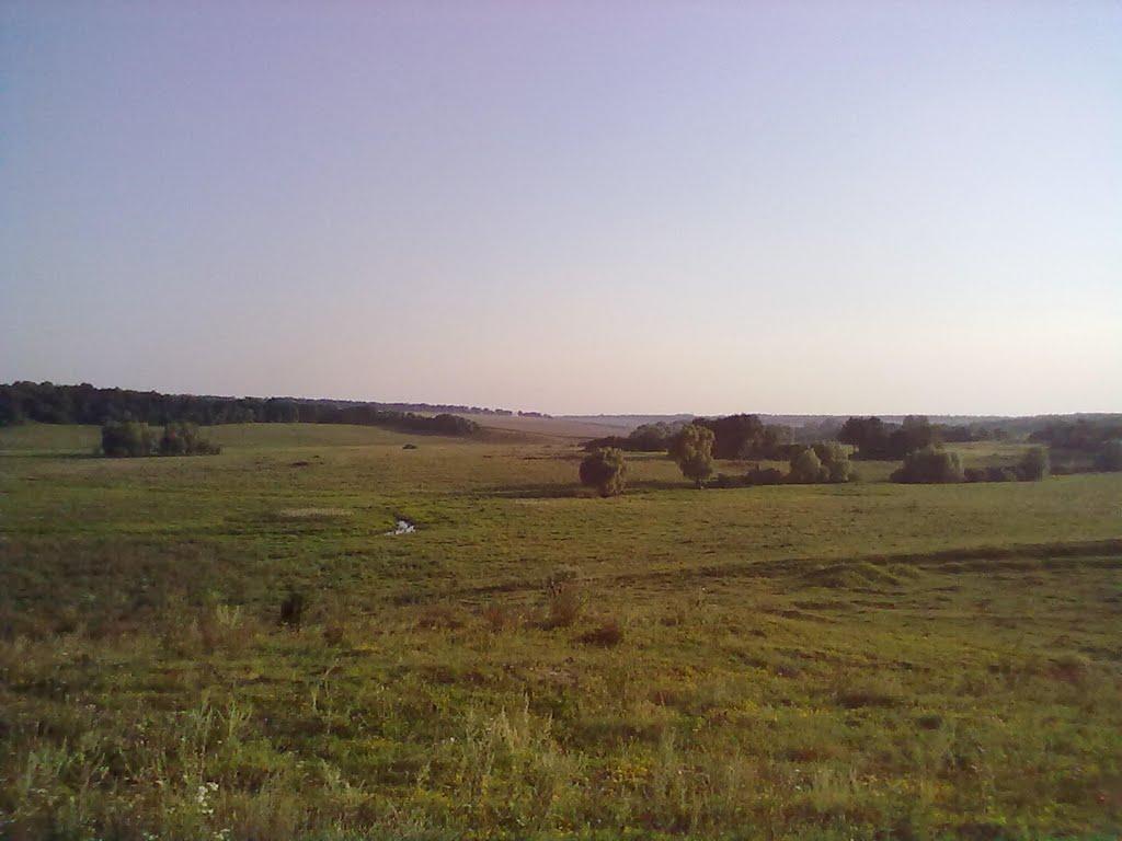 Нелюбівка з panoramio.com - Нелюбовка