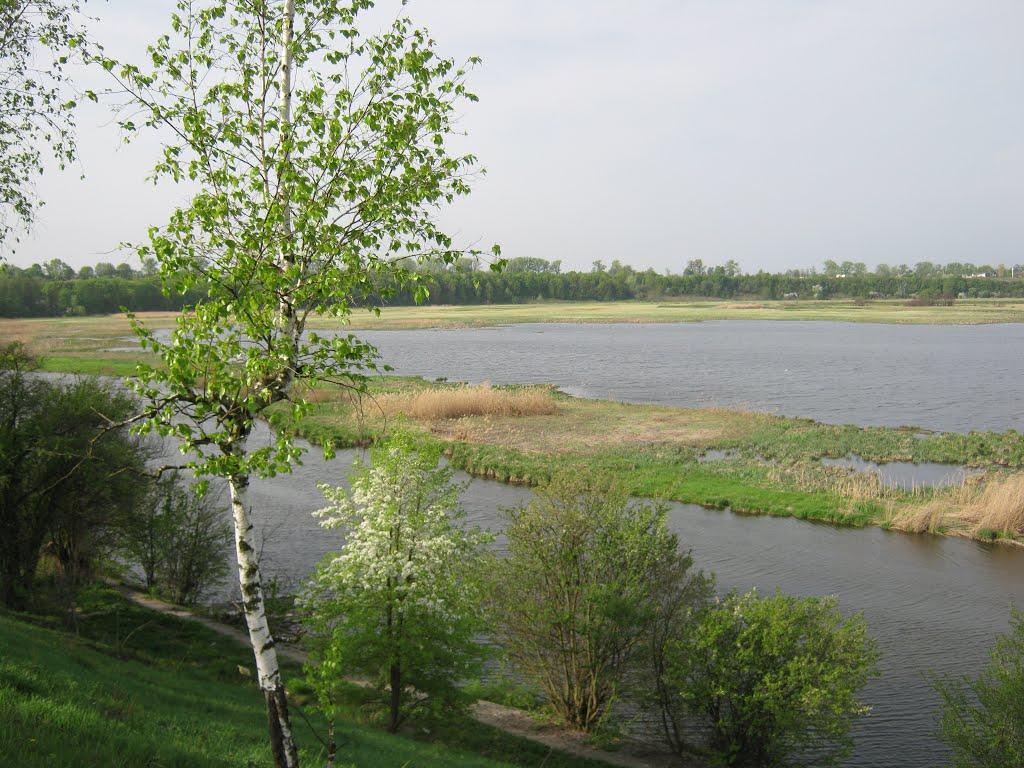 Ізяслав з panoramio.com - Изяслав