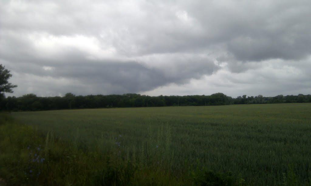 Дронівка з panoramio.com - Дроновка