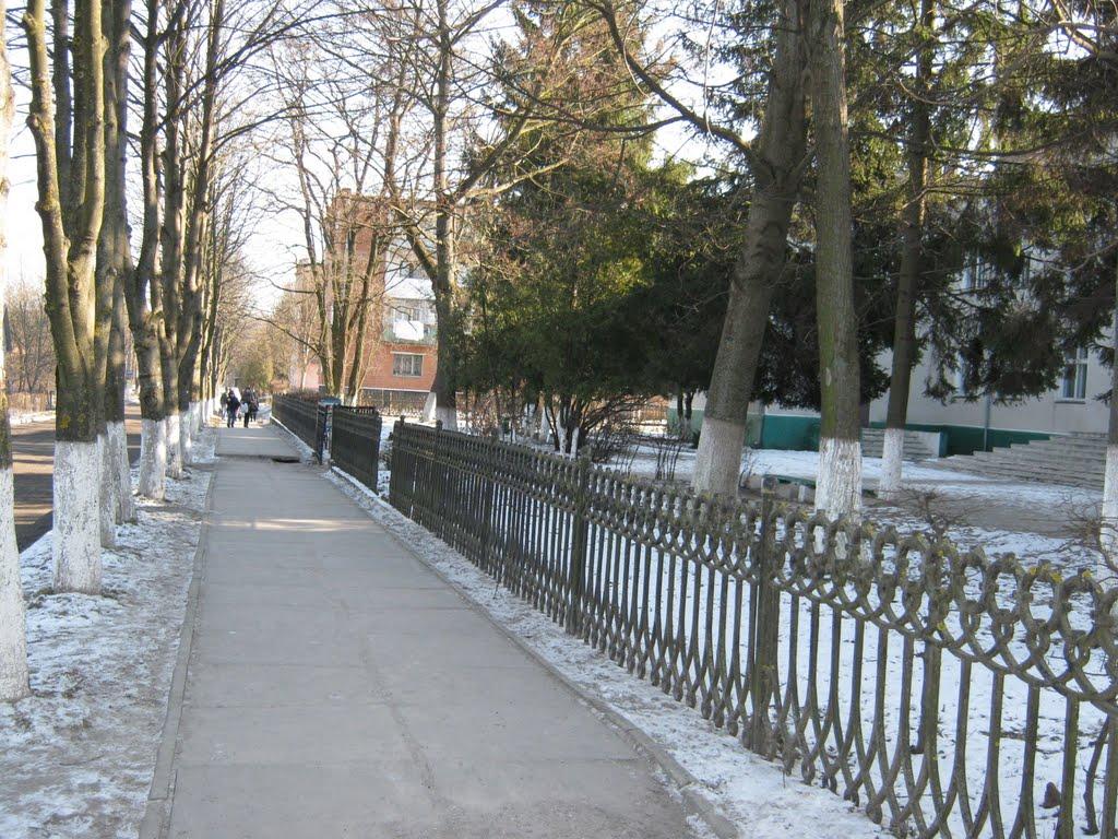 Бурштин з panoramio.com - Burshtyn