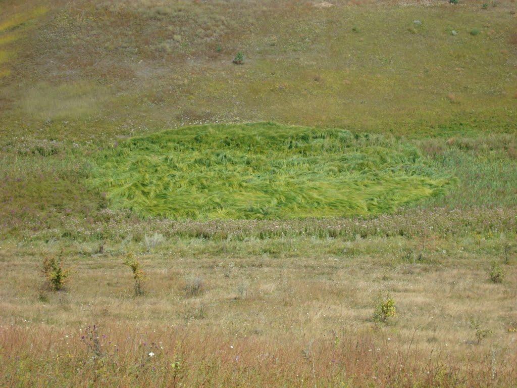 Тригуби з panoramio.com - Тригуби