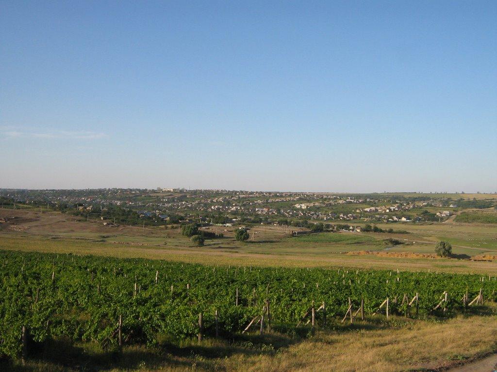 Дмитрівка з panoramio.com - Dmytrivka