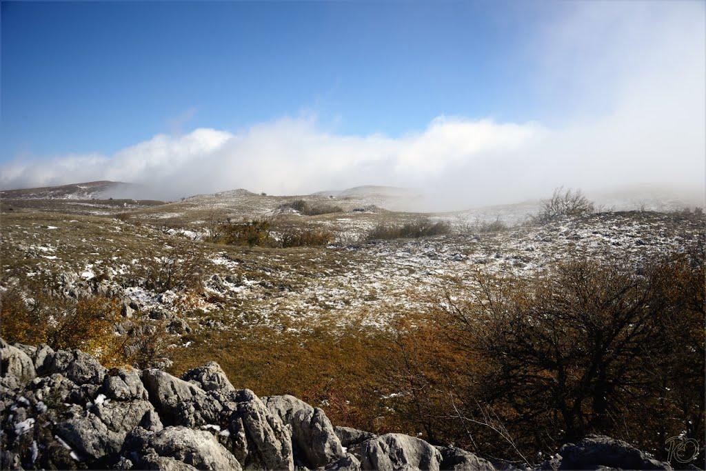 Генеральське з panoramio.com (ч.3) - Generalske