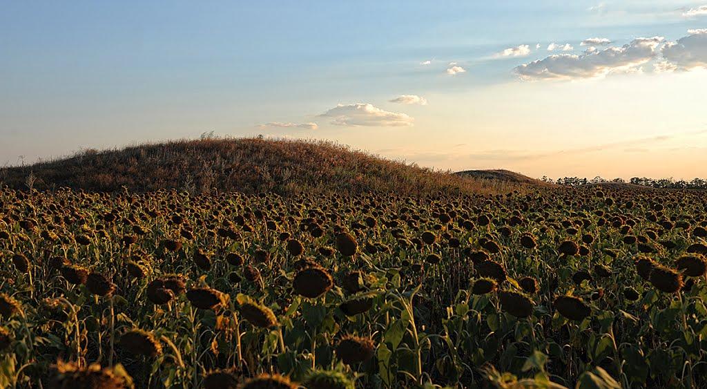 Калайтанівка з panoramio.com - Калайтанівка