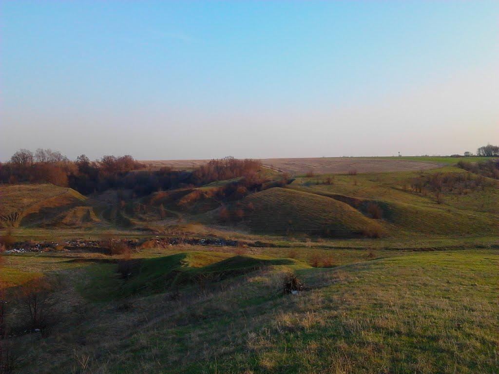 Мачухи з panoramio.com - Мачехи