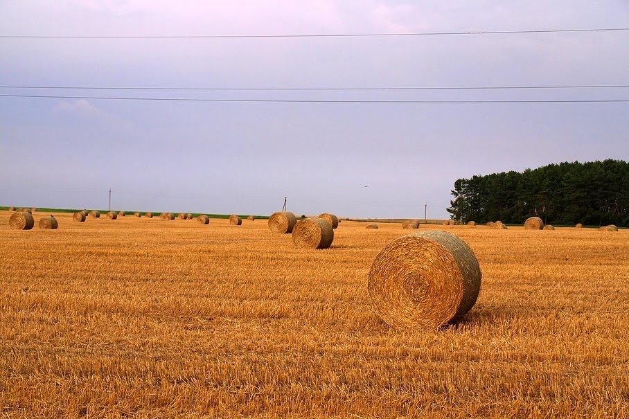 Маковичі з panoramio.com - Маковичі