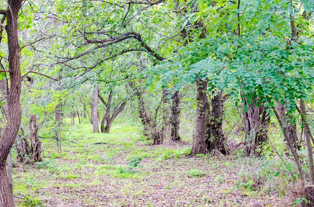 Могилів з panoramio.com - Могилев