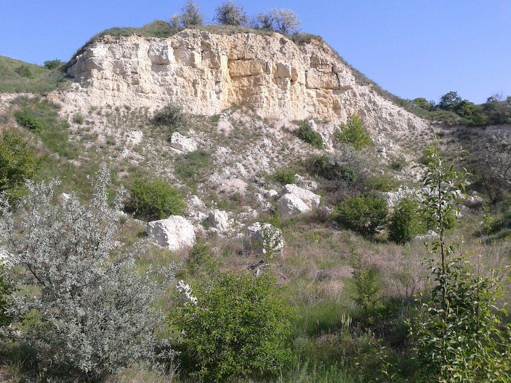 Челюскінець з panoramio.com - Челюскінець