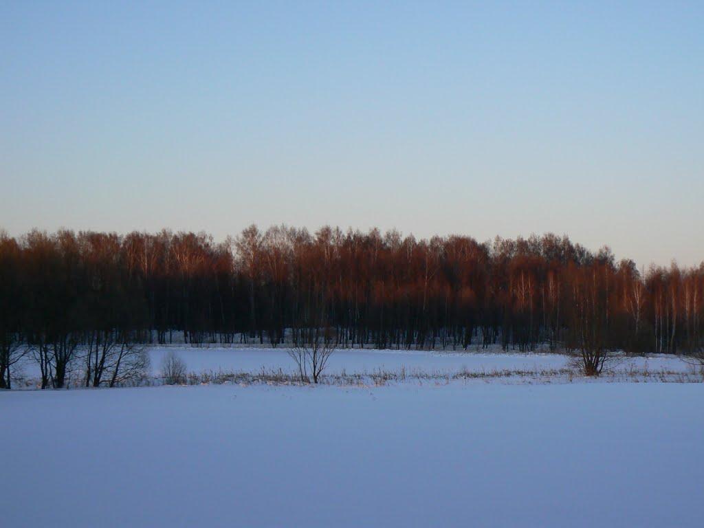Логи з panoramio.com - Логи