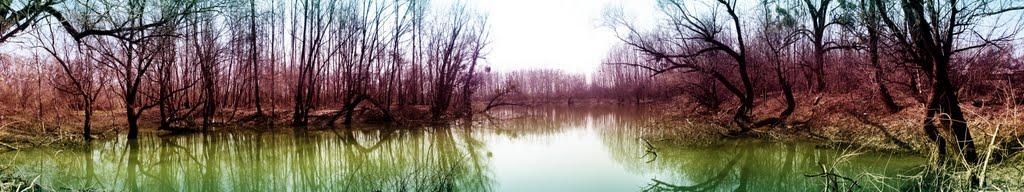 Розівка з panoramio.com (ч.2) - Розівка
