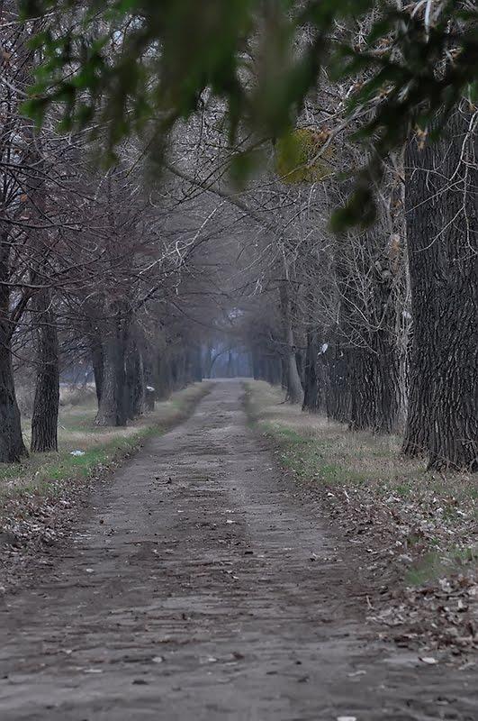Вербове з panoramio.com - Вербовое