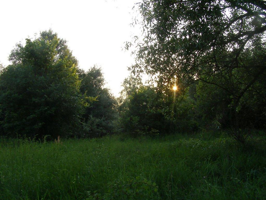 Киселівка з panoramio.com - Киселівка