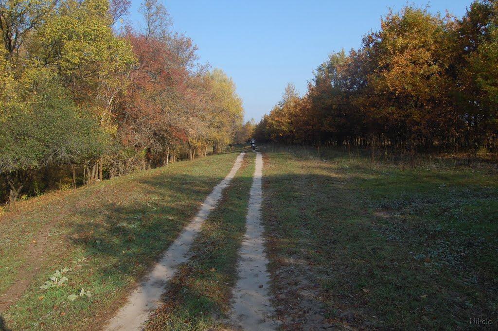 Кремінна з panoramio.com - Кремінна