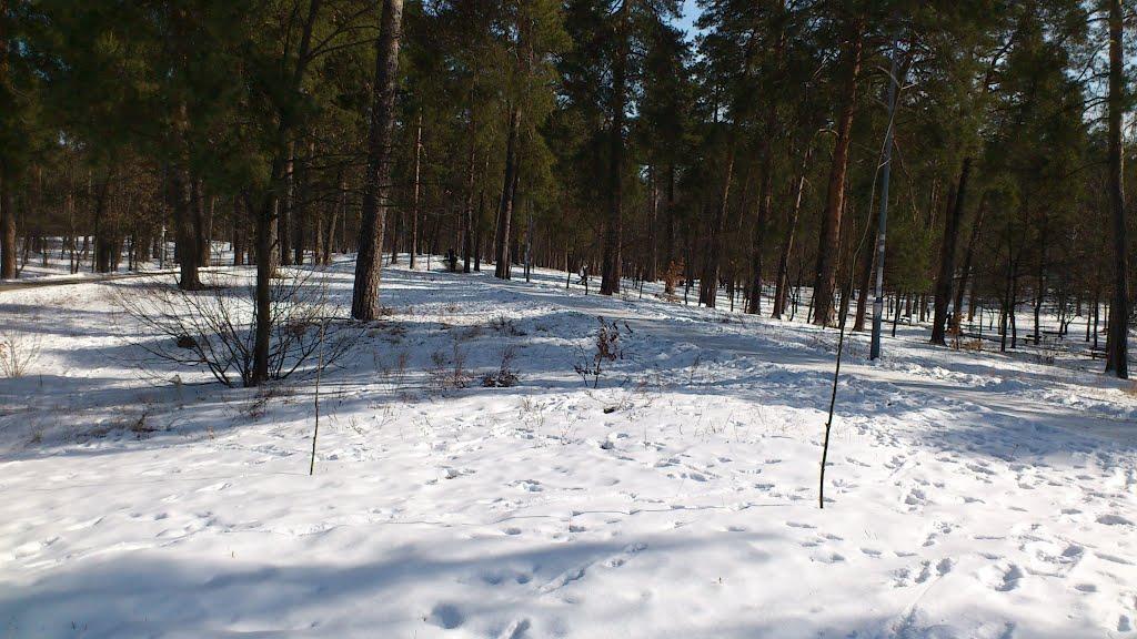 Гнідин з panoramio.com (ч.3) - Gnidyn