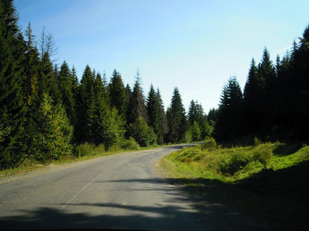 Подобовець з panoramio.com (ч.2) - Podobovets