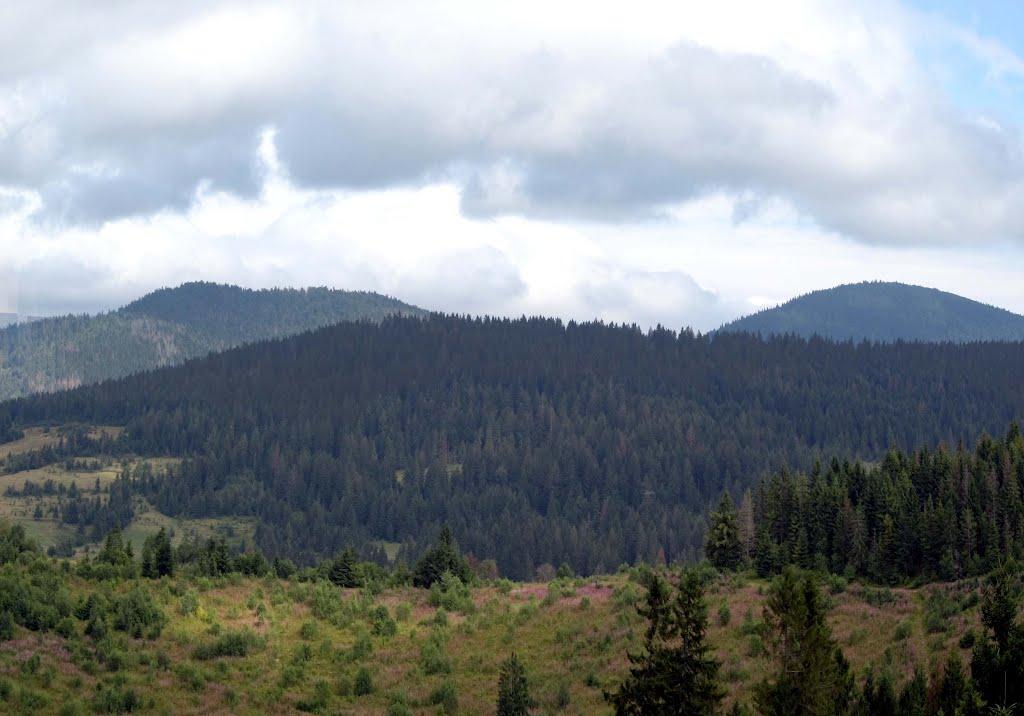 Лісковець з panoramio.com - Лісковець