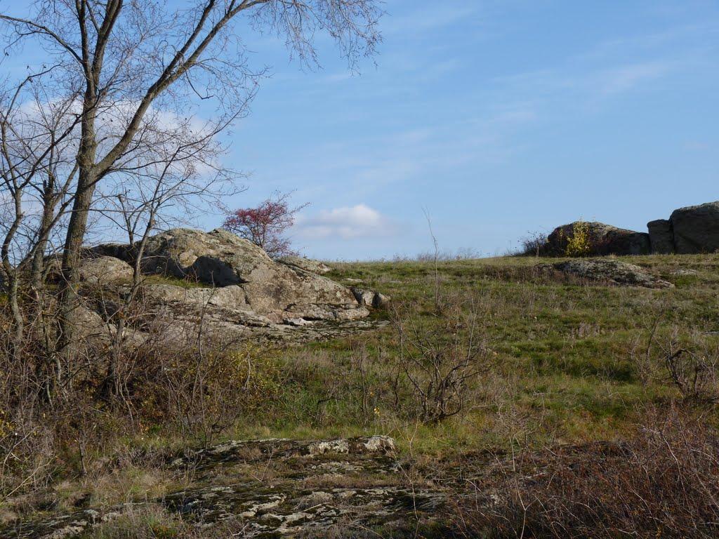 Лужок з panoramio.com - Luzhok