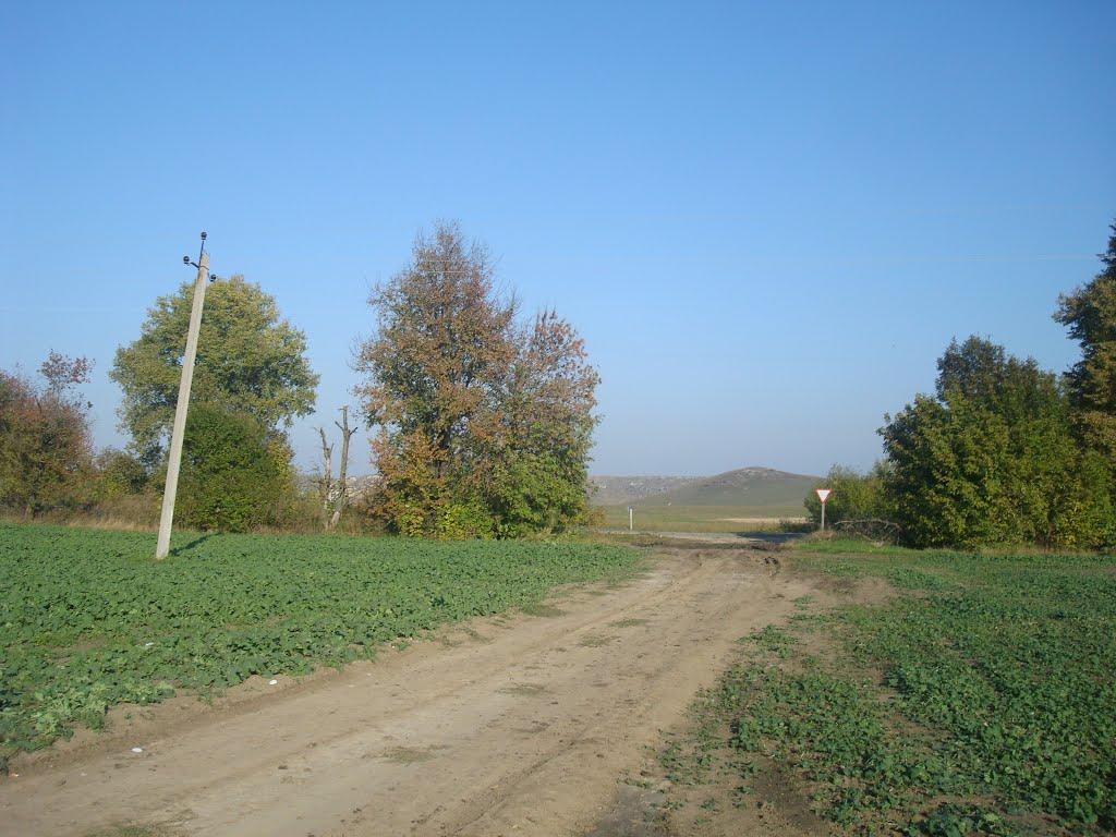 Закупне з panoramio.com - Закупное