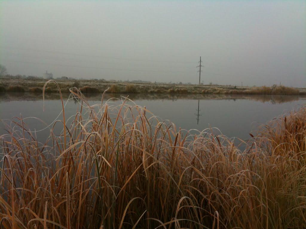 Орілька з panoramio.com - Орілька