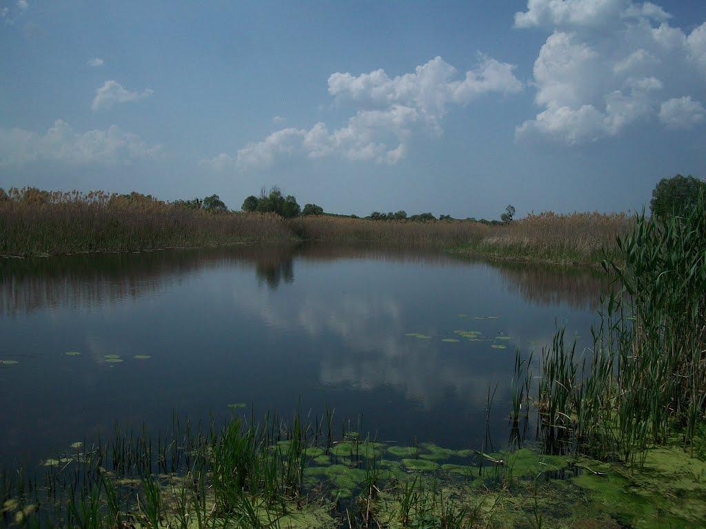 Мерефа з panoramio.com - Мерефа