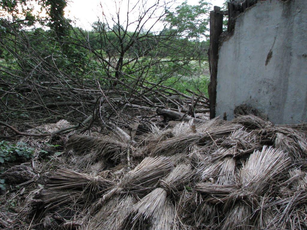 Скелівка з panoramio.com - Скелевка
