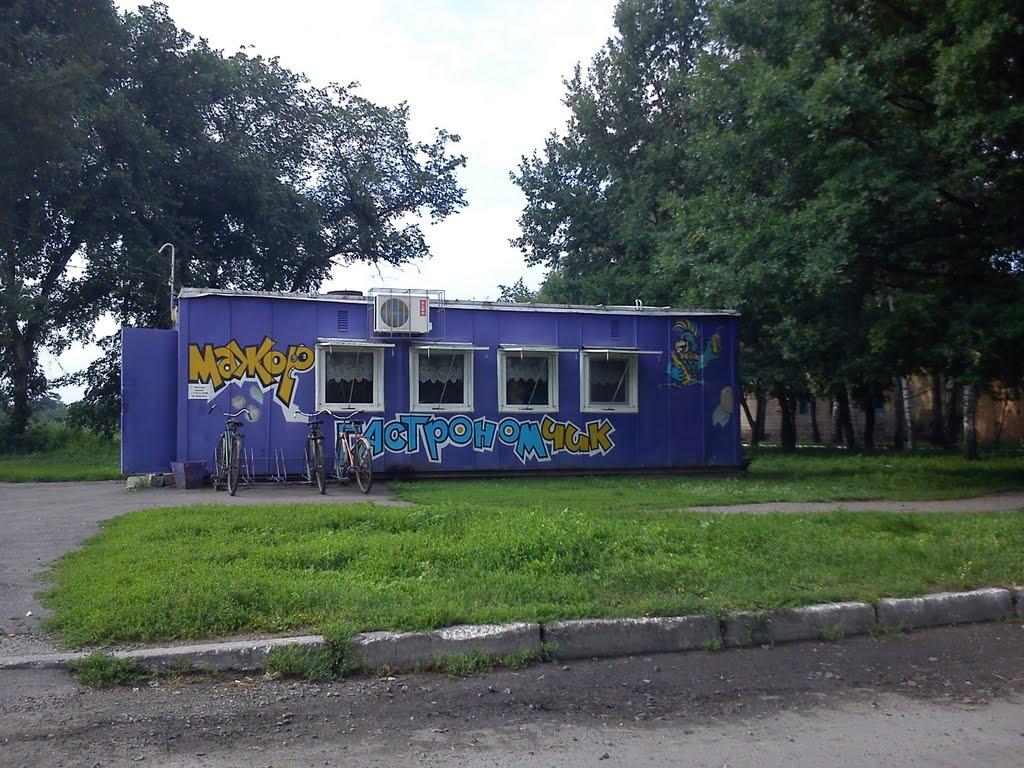 Покровська Багачка з panoramio.com - Pokrovska Bagachka