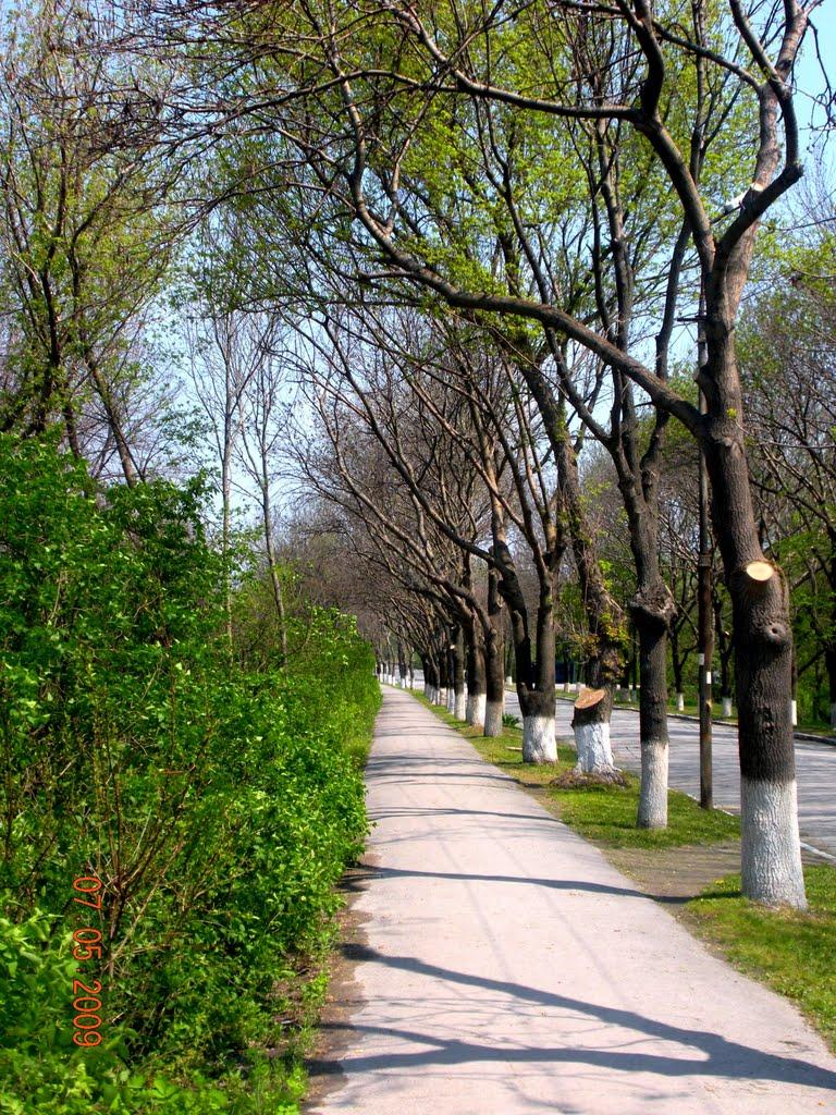 Комсомольське з panoramio.com - Комсомольське