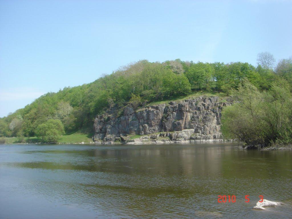 Шершні з panoramio.com - Шершні