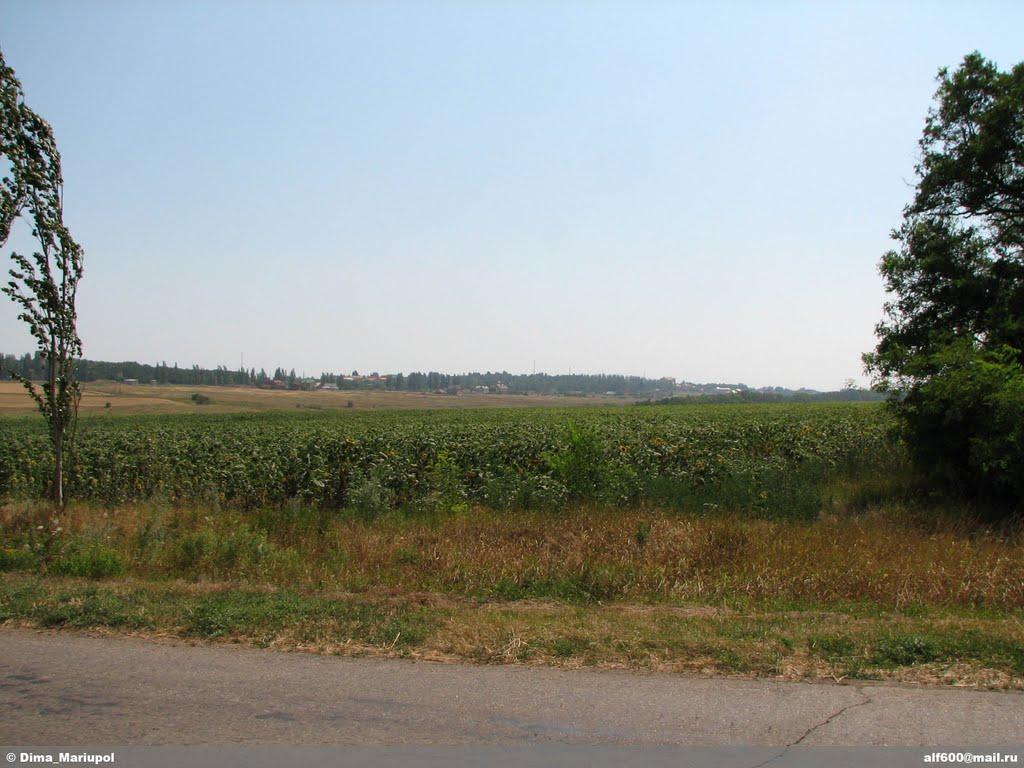 Юр'ївка з panoramio.com - Юр'ївка