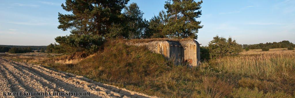 Великі Макари з panoramio.com - Великі Макари