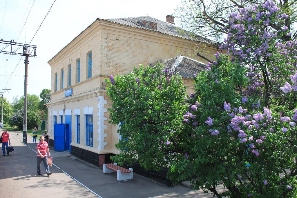 Ранній Ранок з panoramio.com - Ранний Ранок