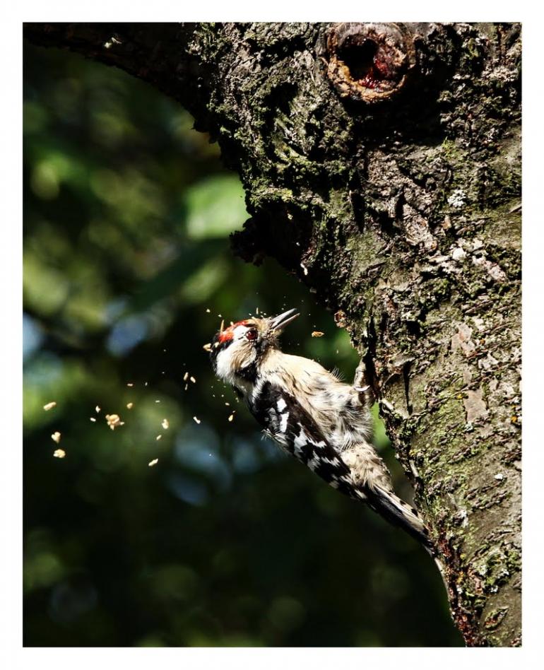 Новосілки з panoramio.com - Новосілки