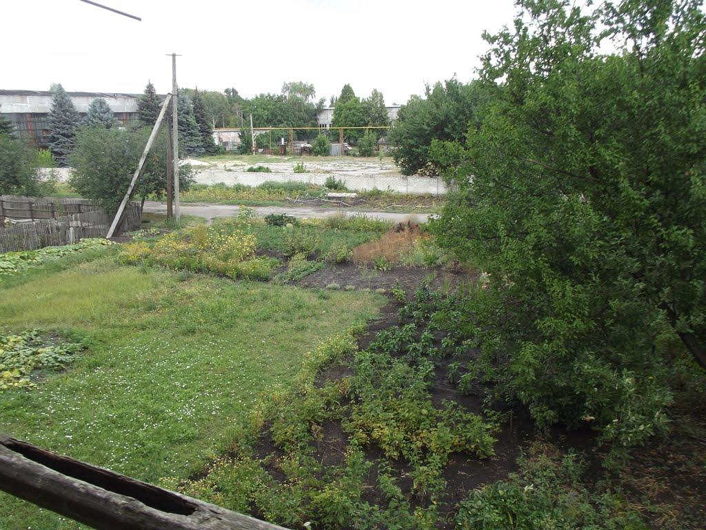 Лісівське з panoramio.com - Лісівське