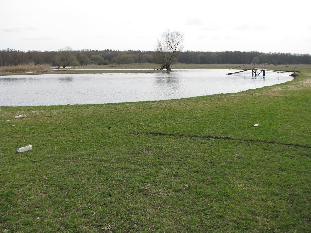 Лютенські Будища з panoramio.com - Лютенські Будища