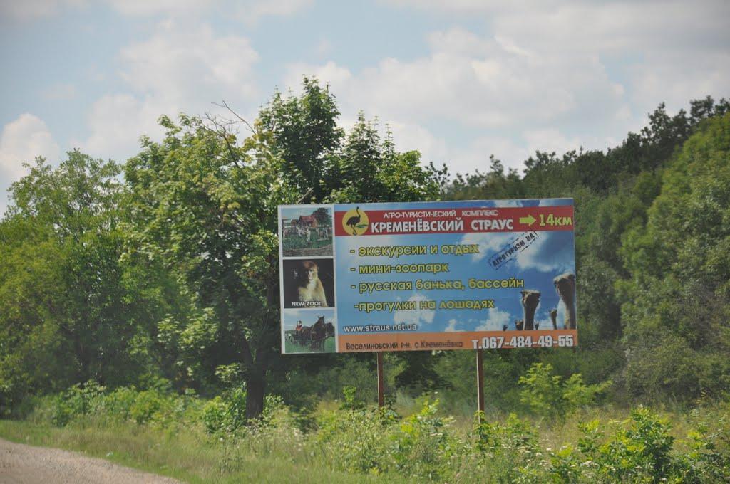 Зоря з panoramio.com - Зоря