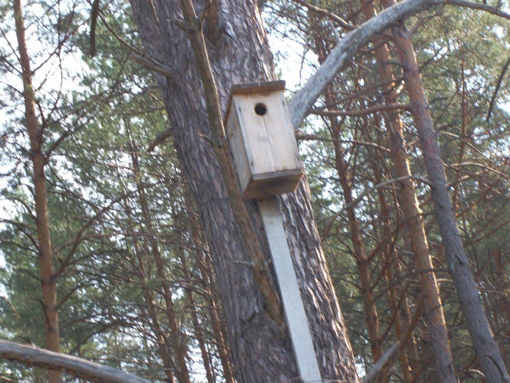 Немильня з panoramio.com - Немильня