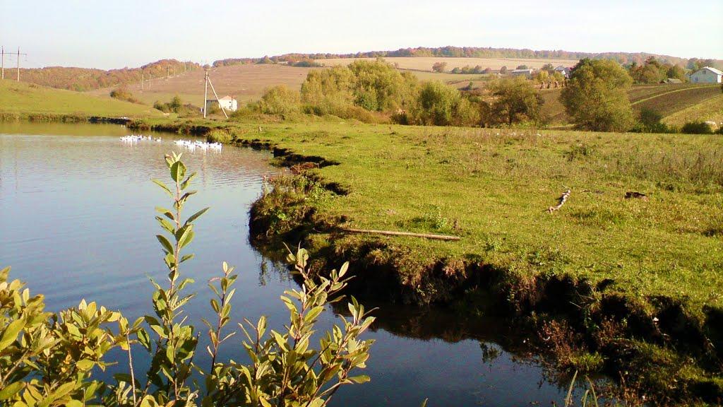 Рогачин з panoramio.com - Рогачин