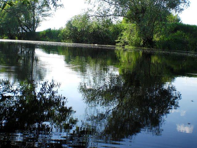 Радалівка з panoramio.com - Радаловка