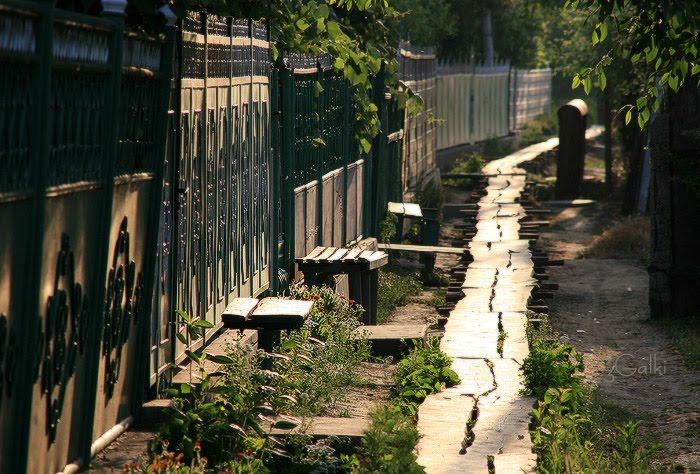Вилкове з panoramio.com (ч.2) - Вилкове