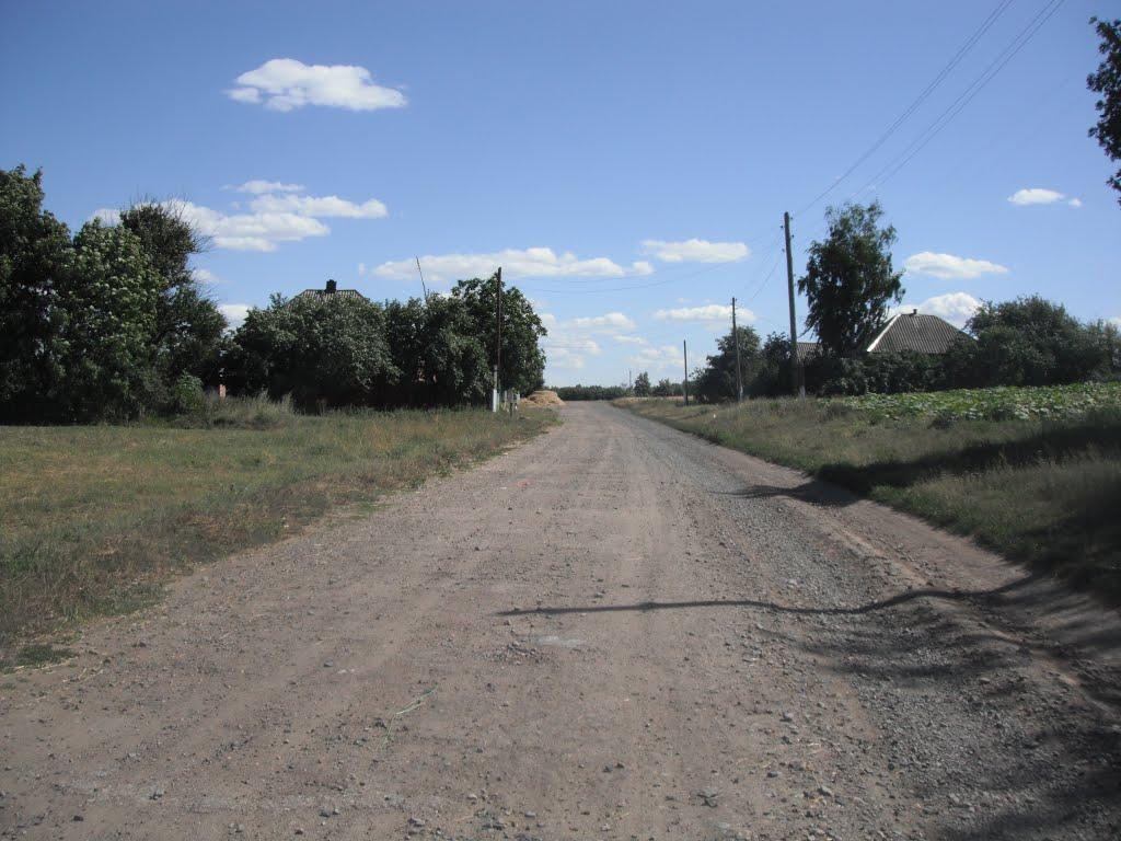 Писарівка з panoramio.com - Pysarivka