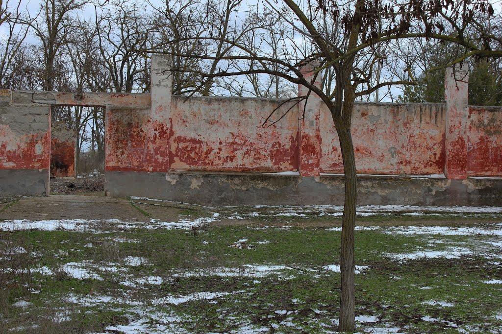 Роздольне з panoramio.com - Роздольне
