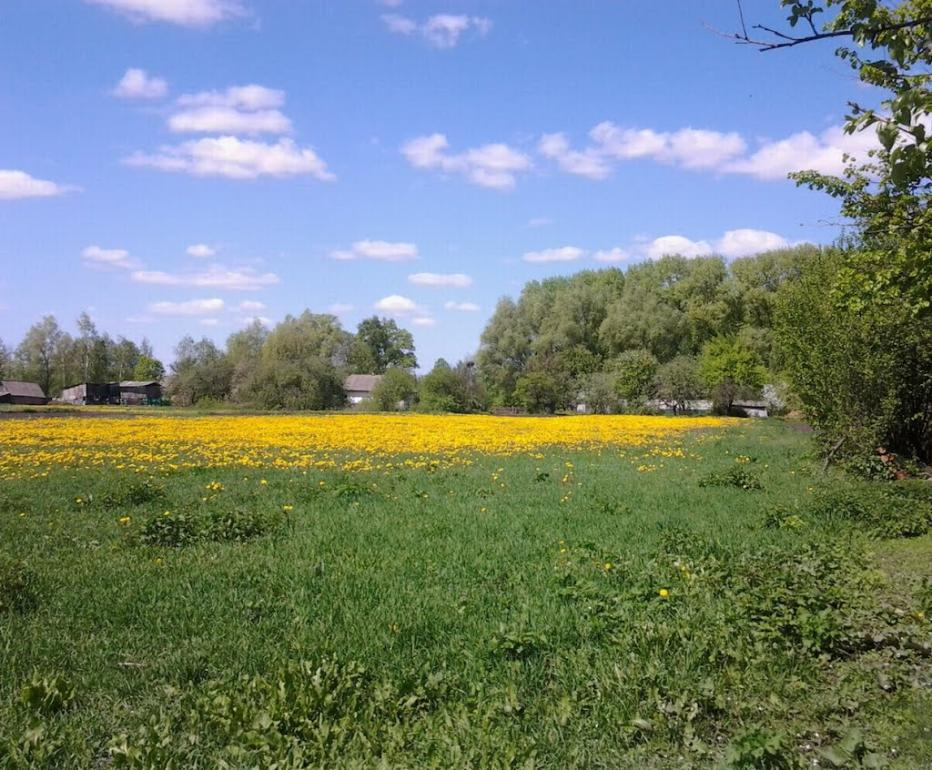 Вільшане з panoramio.com - Вільшане