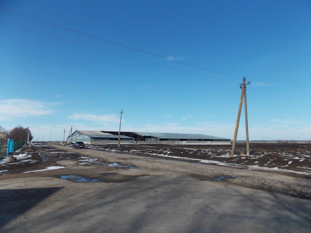 Краснопілка з panoramio.com - Краснопілка