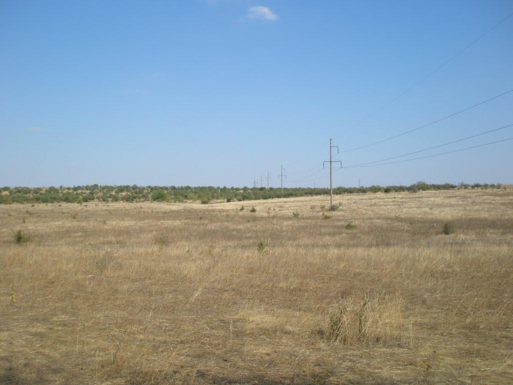 Синюхин Брід з panoramio.com - Синюхин Брод