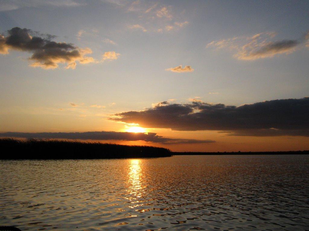 Новосільське з panoramio.com - Новосільське