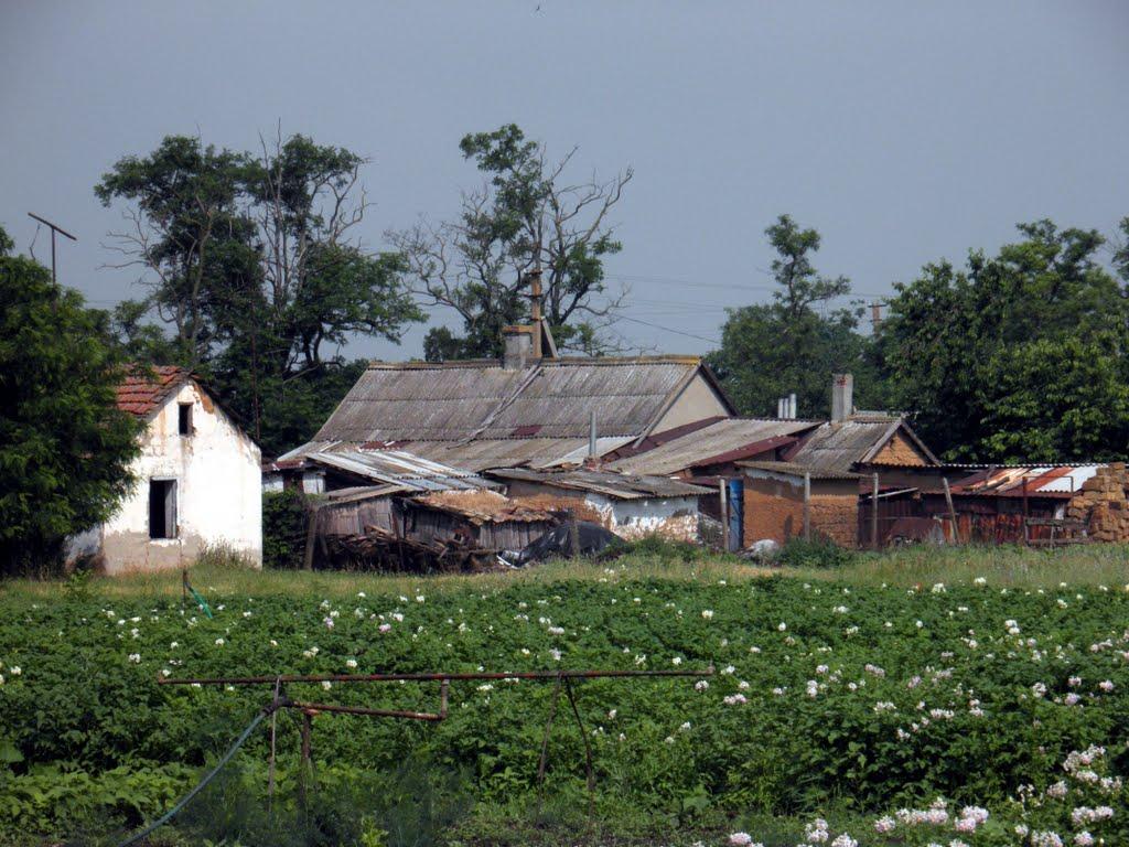 Миролюбівка з panoramio.com - Миролюбівка